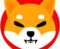 Buy SHIBA INU - Is it worth buying the cryptocurrency